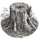 theoldstump.com